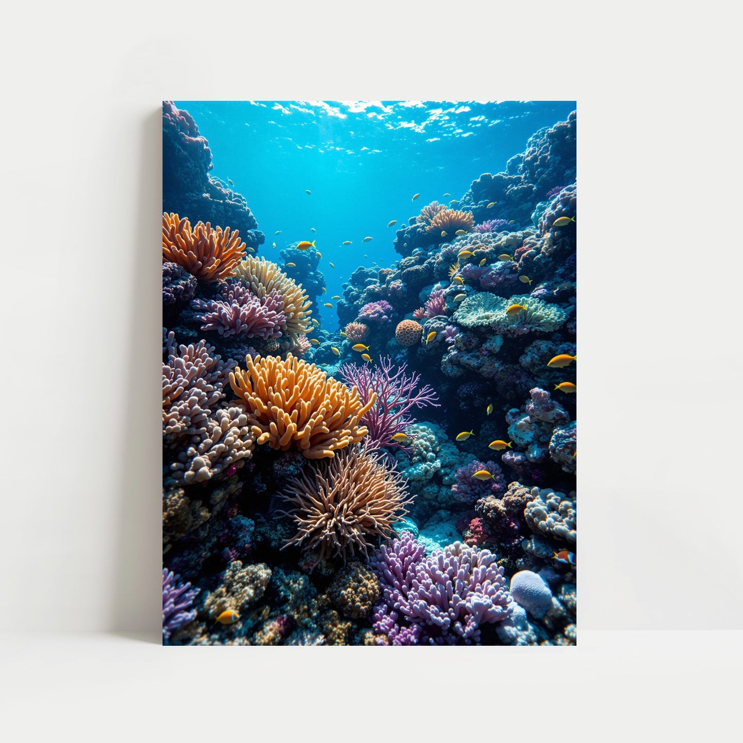 Great Barrier Reef