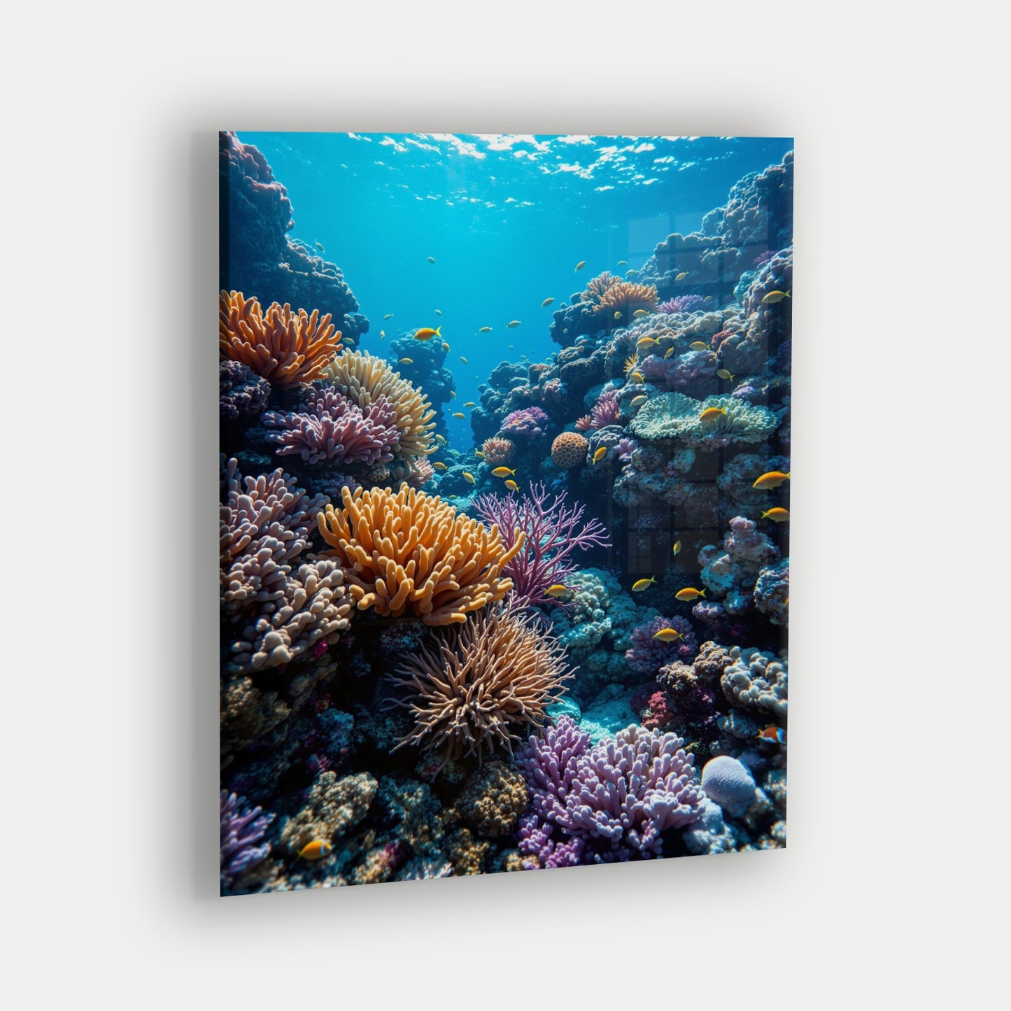 Great Barrier Reef