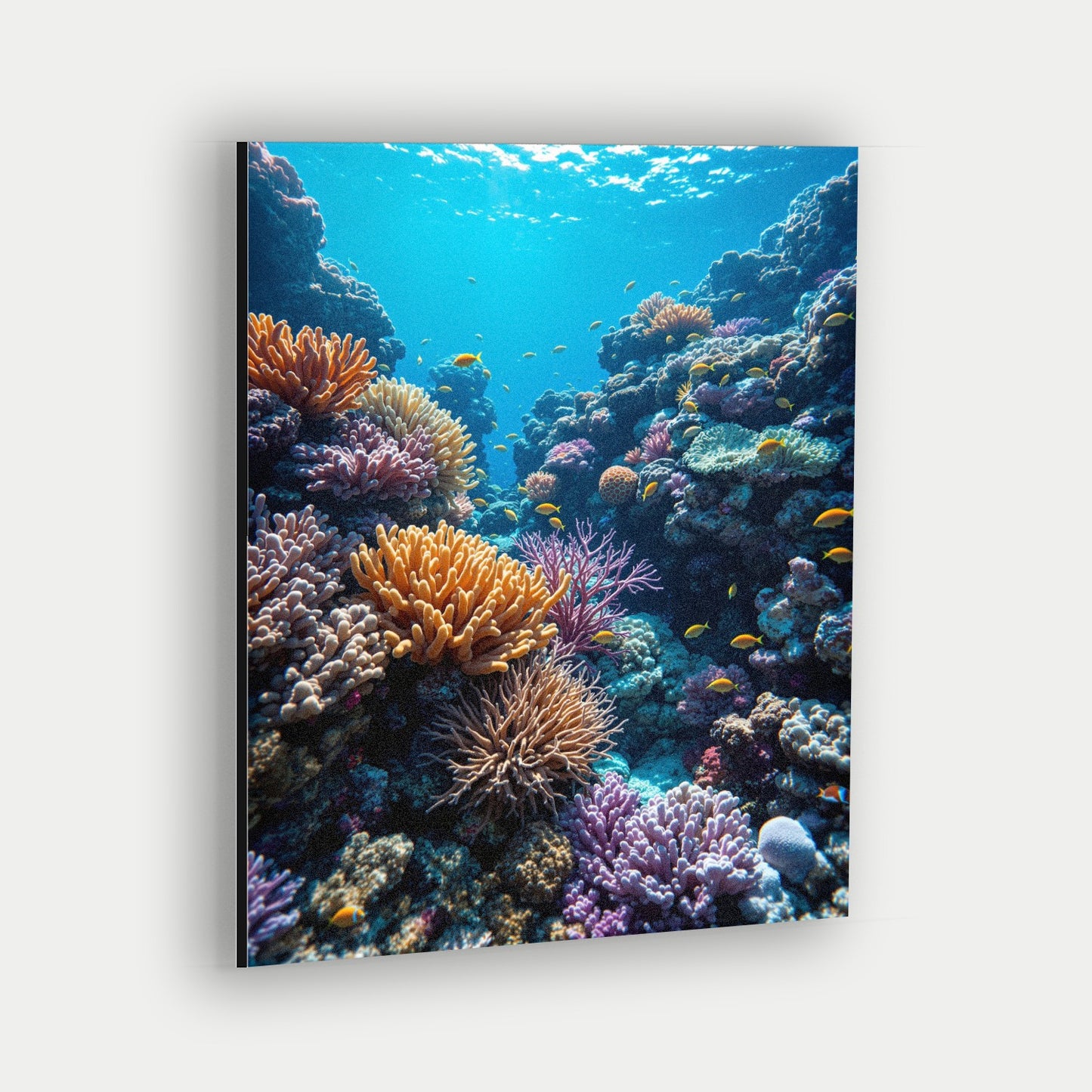 Great Barrier Reef