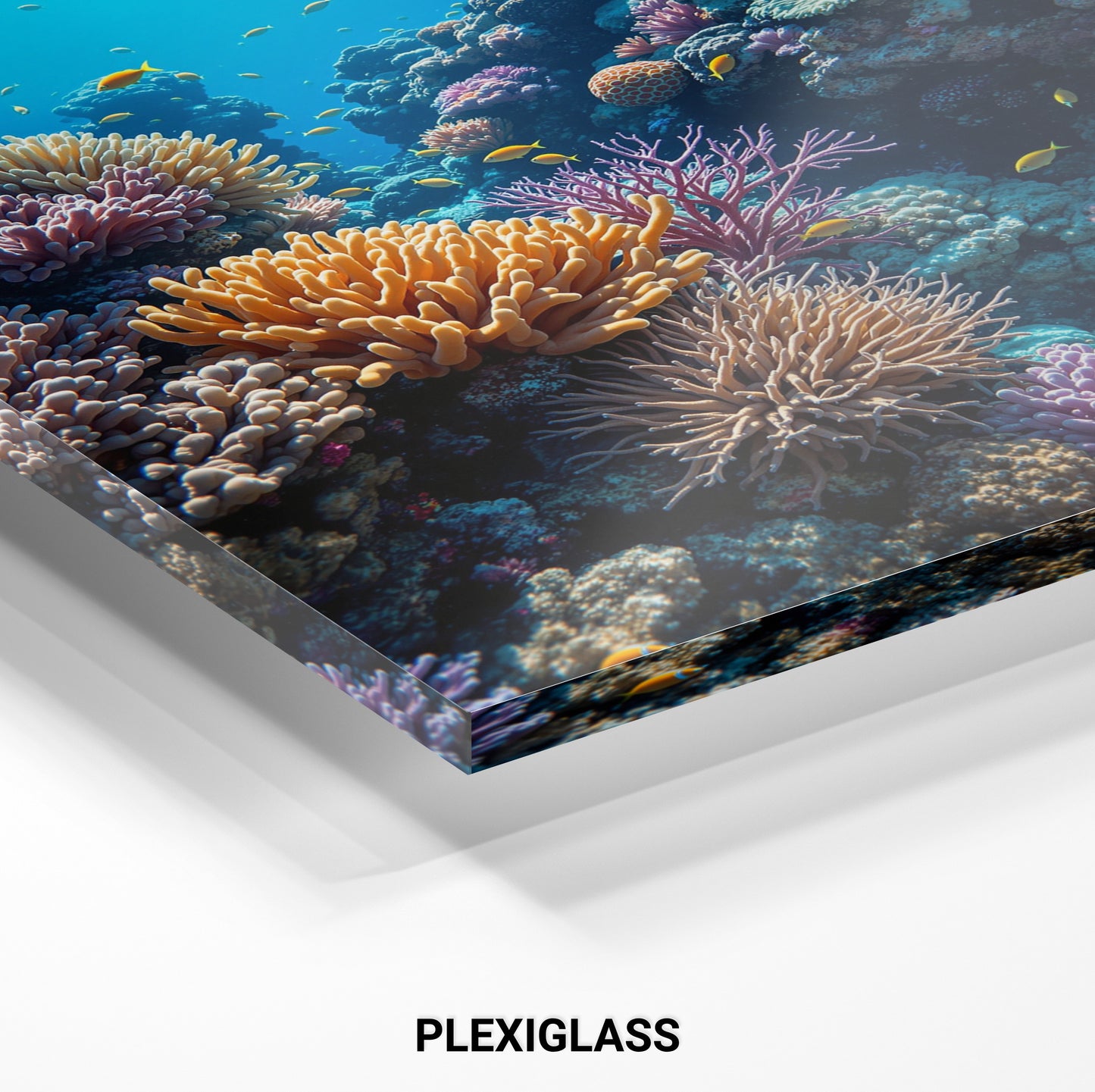 Great Barrier Reef
