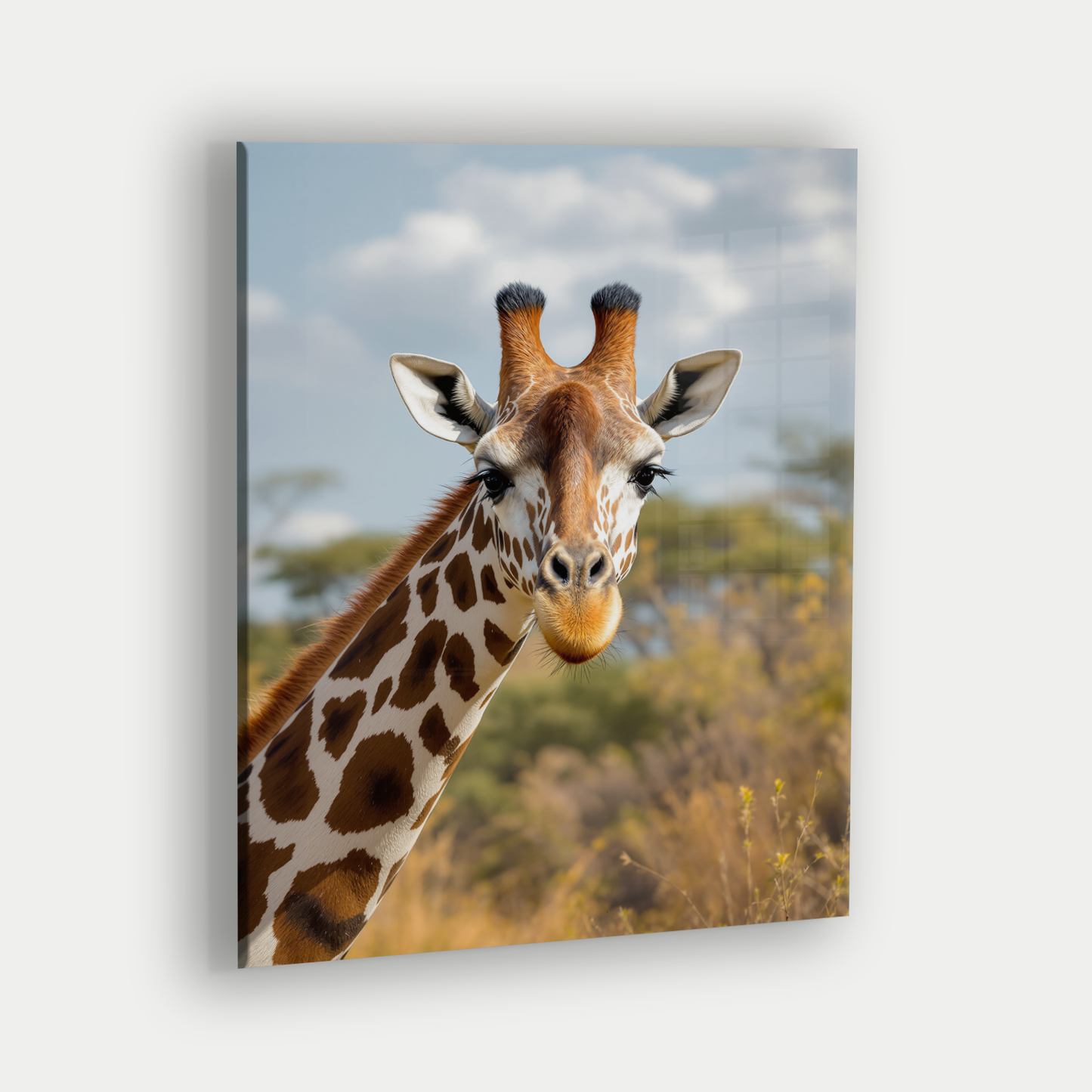 Savanna's Guardian
