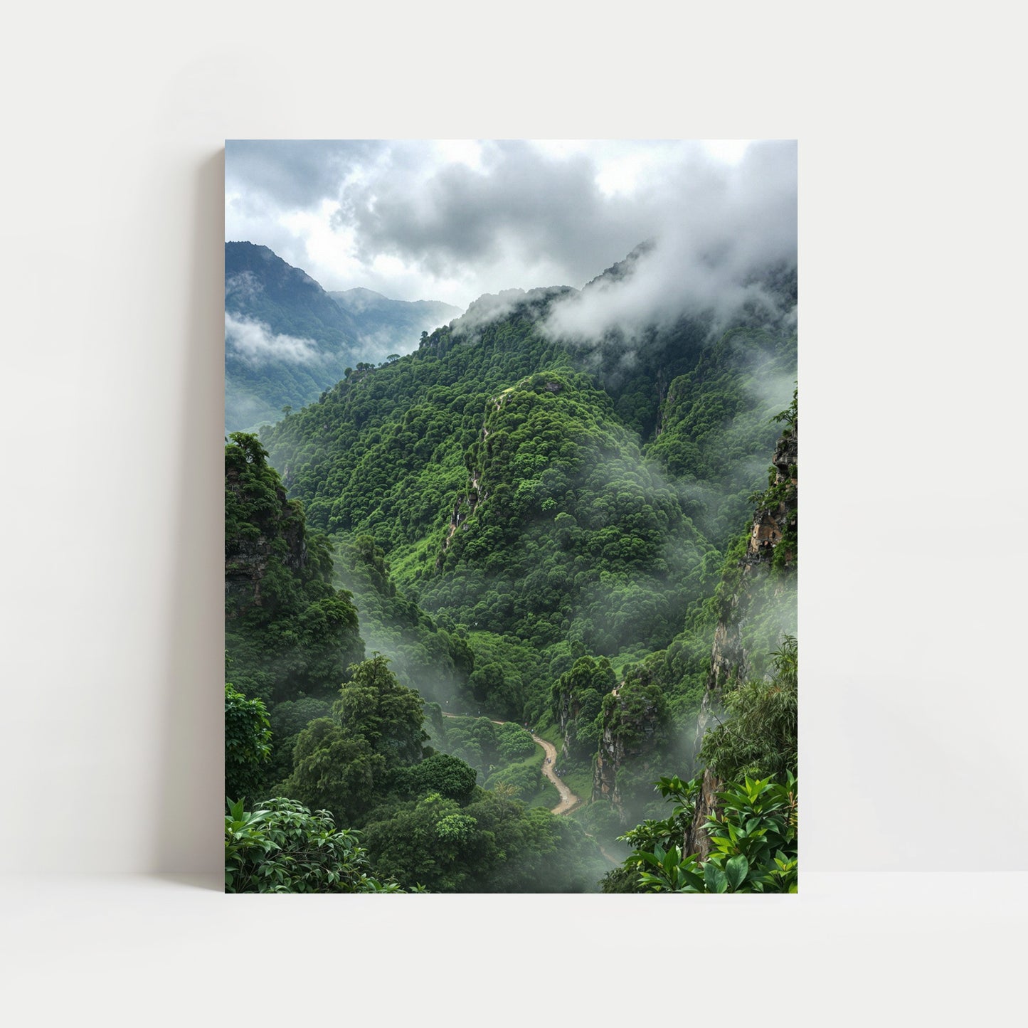 The Amazon