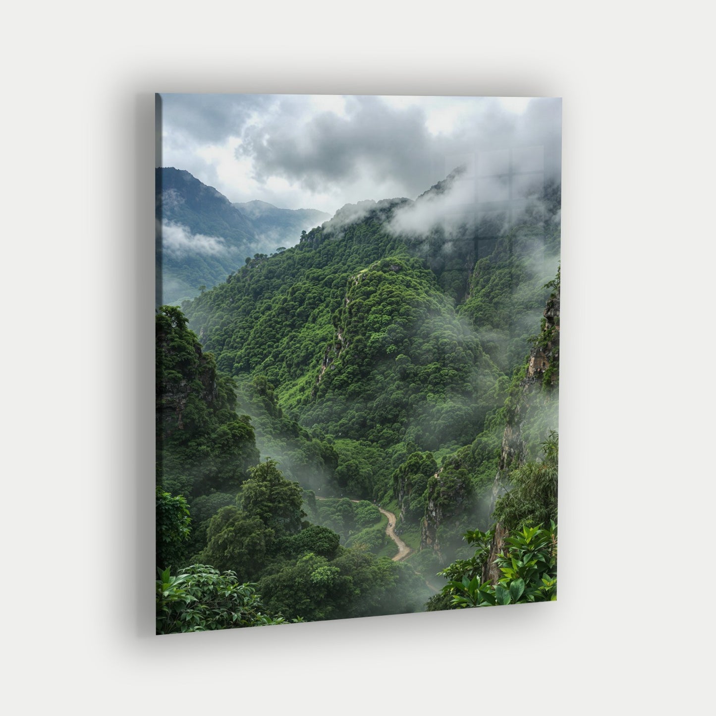 The Amazon