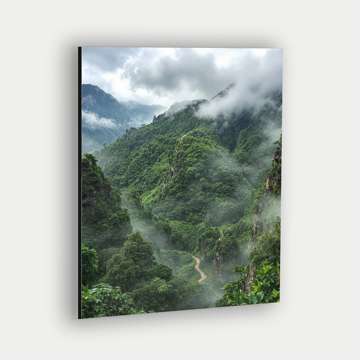 The Amazon