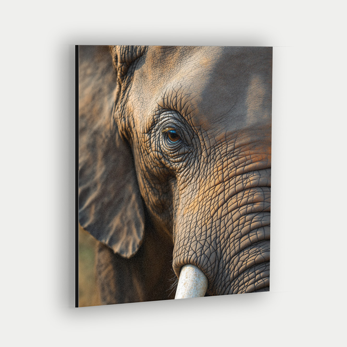 The Wise Eye