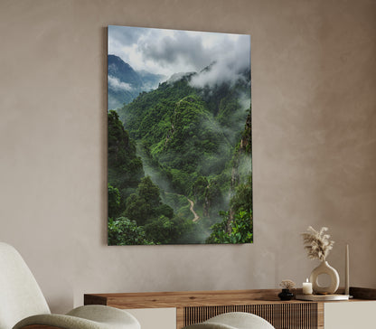 The Amazon
