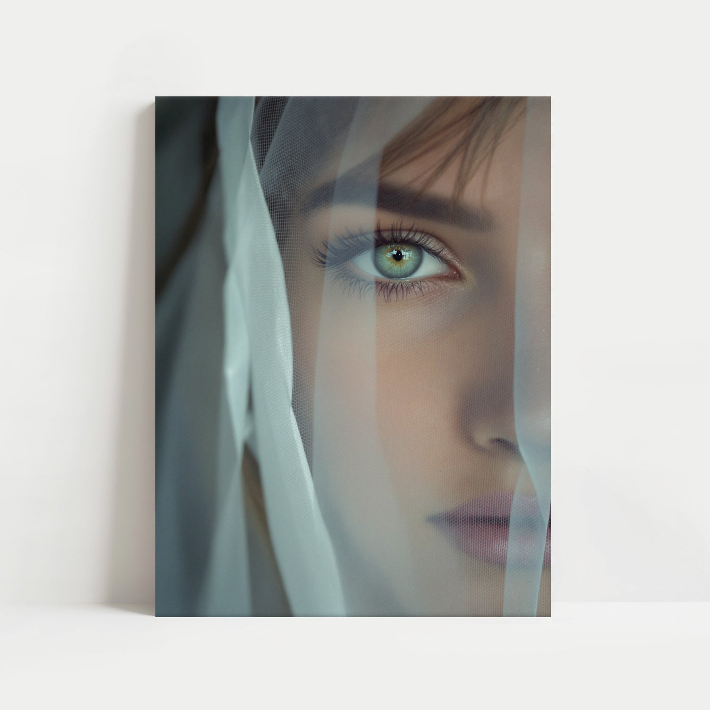 Veil's Secret